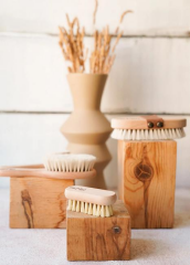 The Mia MIA0003 Tırnak Fırçası Tampiko Otundan