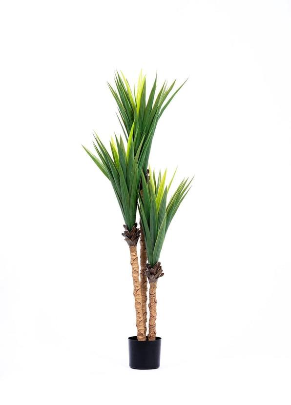 The Mia CCK0300 Yucca Yapay 3 Dallı Yeşil Ağaç 150 Cm