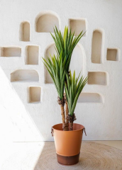 The Mia CCK0300 Yucca Yapay 3 Dallı Yeşil Ağaç 150 Cm