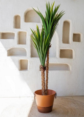 The Mia CCK0301 Yucca Yapay 3 Dallı Yeşil Ağaç 180 Cm