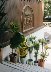 The Mia CCK0301 Yucca Yapay 3 Dallı Yeşil Ağaç 180 Cm