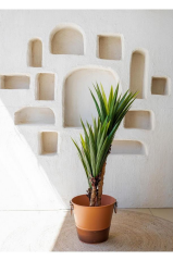 The Mia CCK0299 Yucca Yapay 3 Dallı Yeşil Ağaç 120 Cm