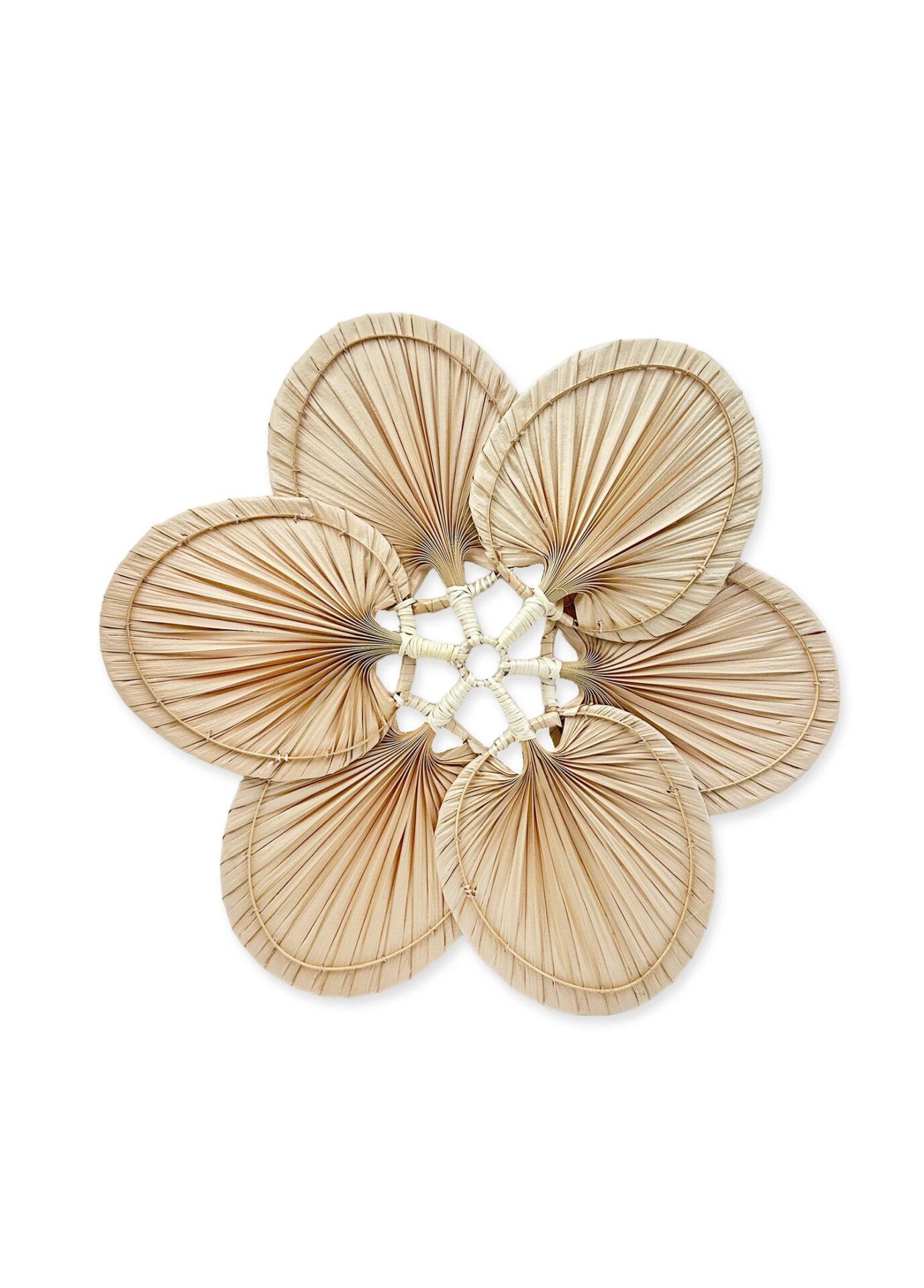 The Mia DKR0495 Dekoratif Palmiye Yaprağı 73x65x65 Cm